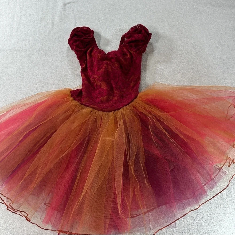 A Wish Come True Scherzo Ballerina Dance Dress Burgundy Orange 24317 Costume